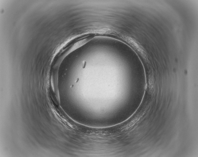 X0000087520532200705041215