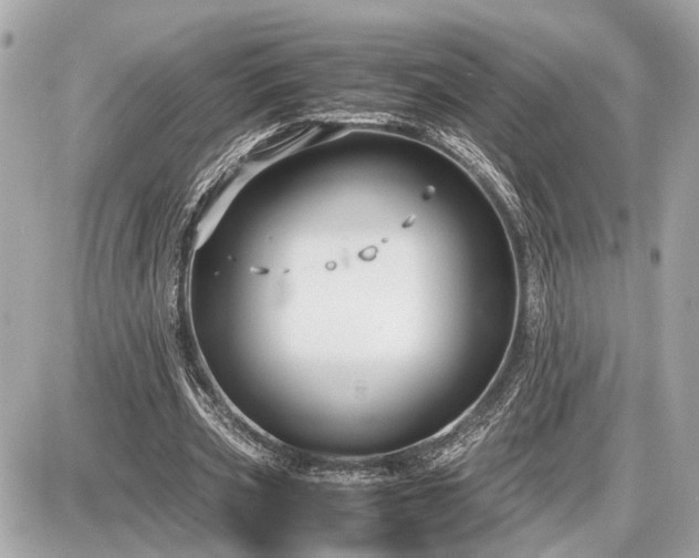 X0000087520533200705041215