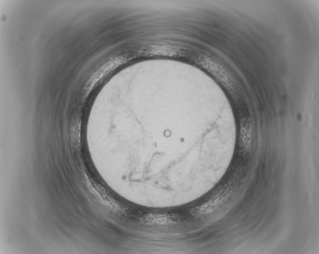 X0000087520534200705041215