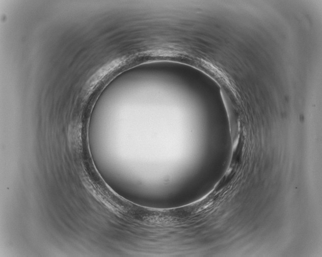 X0000087520535200705041215