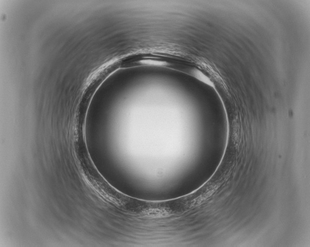 X0000087520536200705041215