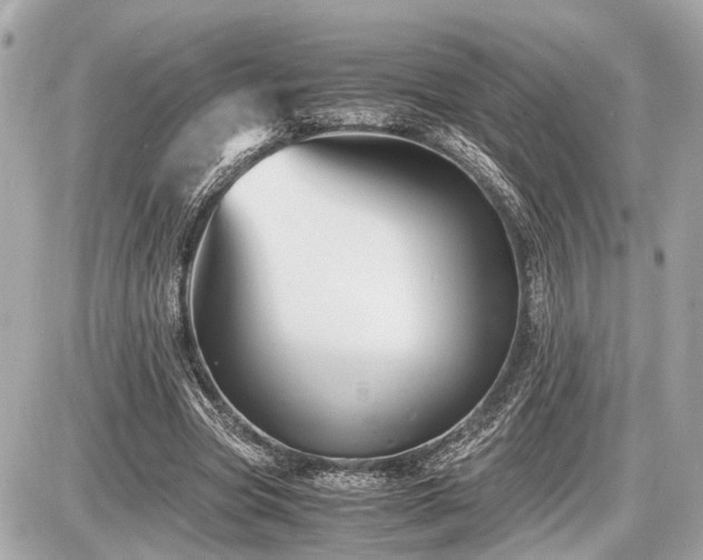 X0000087520537200705041215