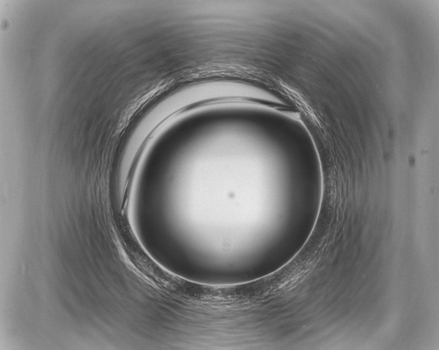 X0000087520538200705041215