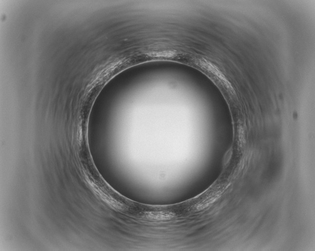 X0000087520541200705041215