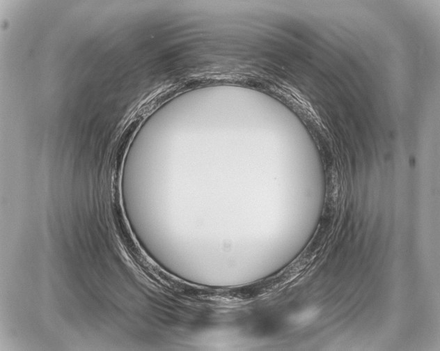 X0000087520542200705041215