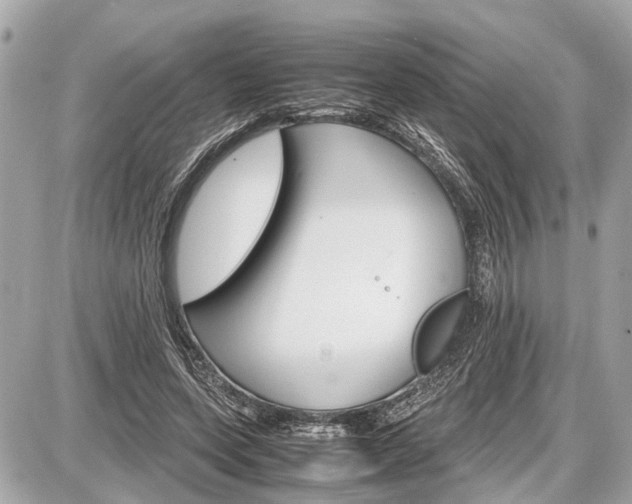 X0000087520543200705041215