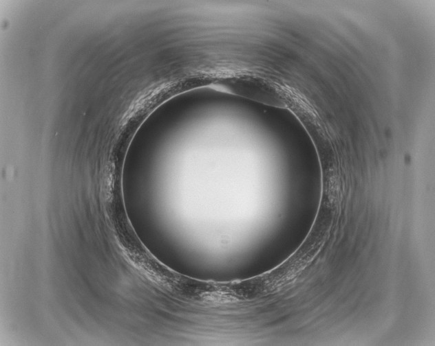 X0000087520544200705041215