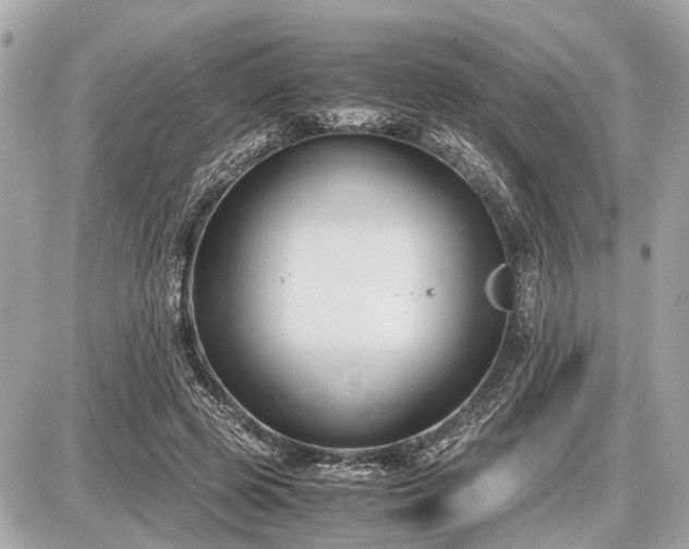 X0000087520545200705041215