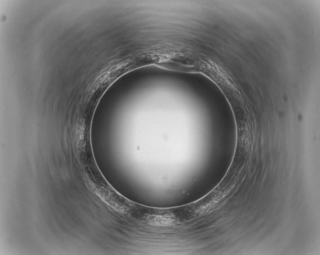 X0000087520548200705041215