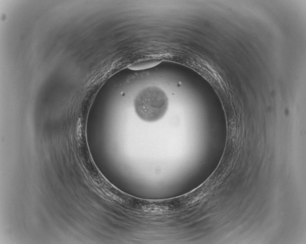 X0000087520549200705041215