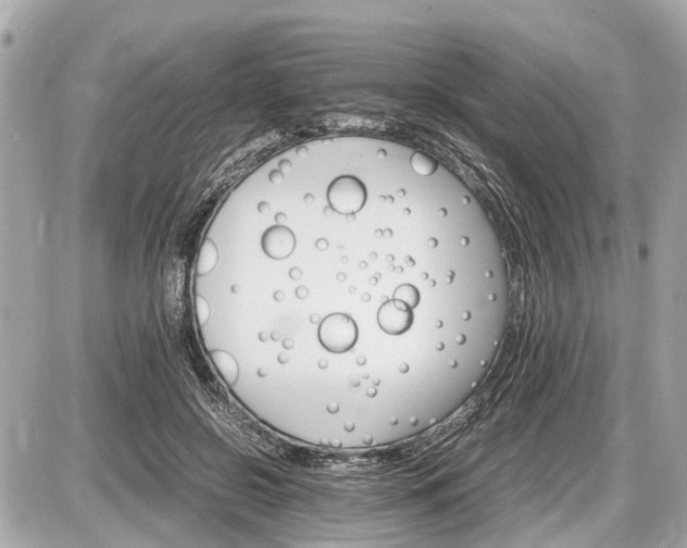 X0000087520550200705041215