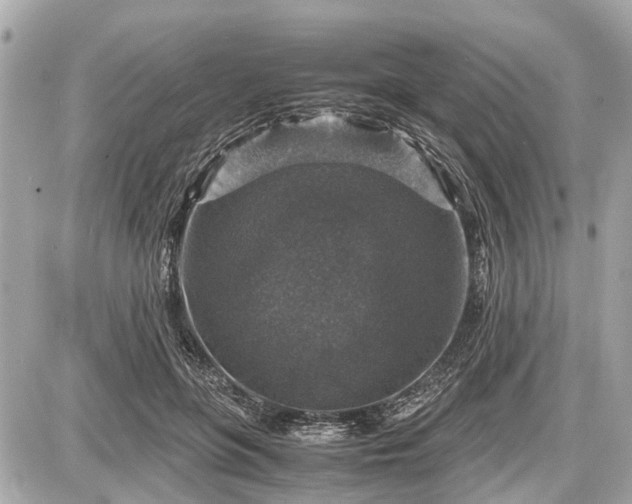 X0000087520551200705041215