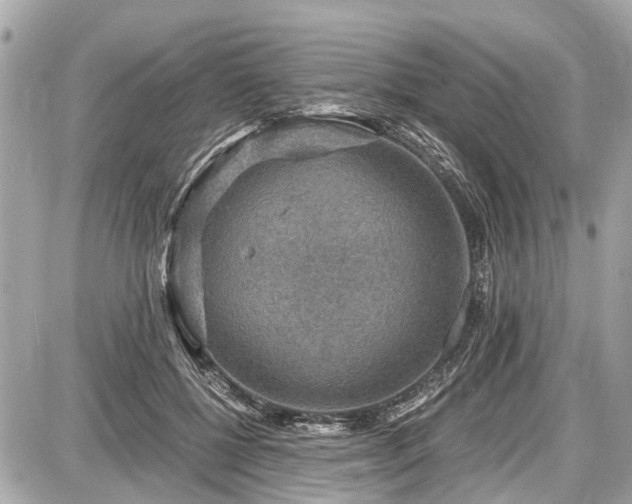 X0000087520552200705041215