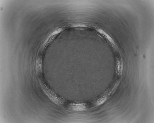 X0000087520553200705041215