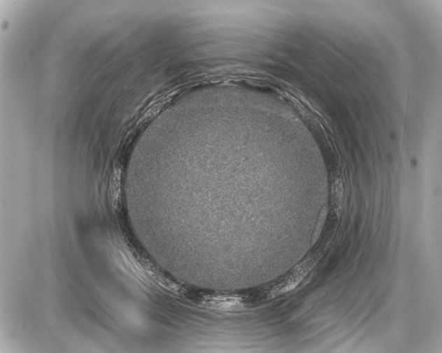 X0000087520554200705041215