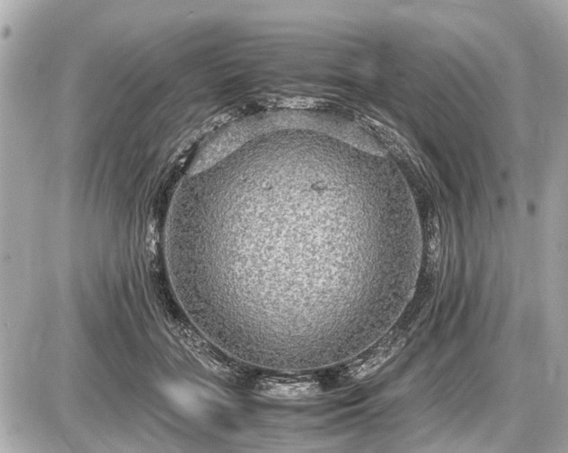 X0000087520555200705041215