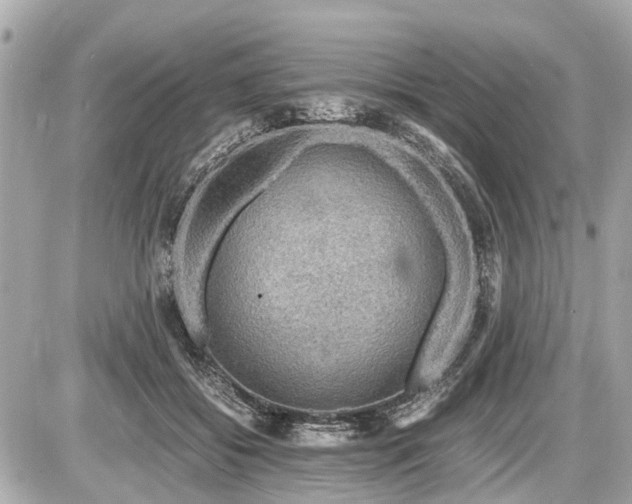 X0000087520556200705041215