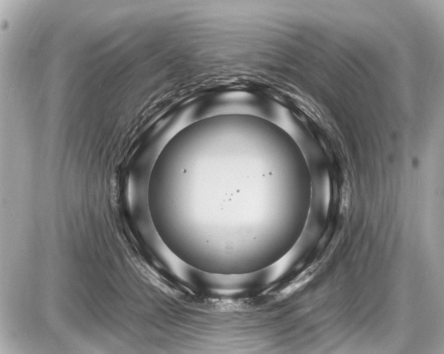 X0000087520558200705041215