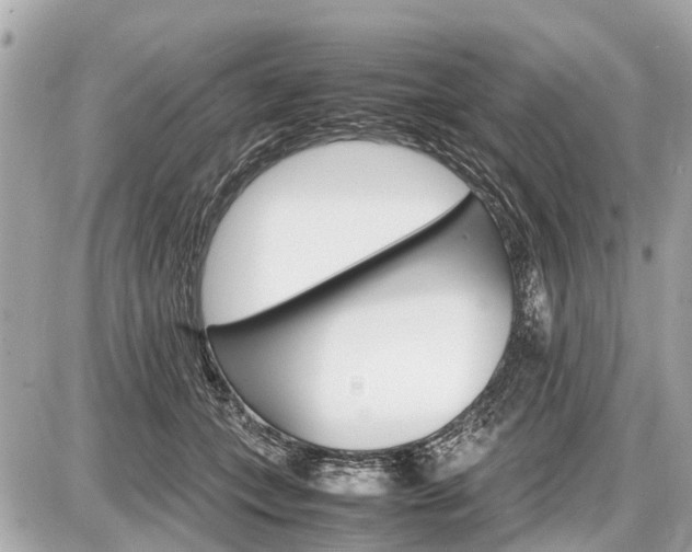 X0000087520559200705041215