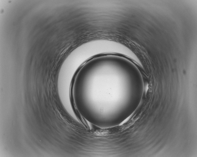 X0000087520560200705041215