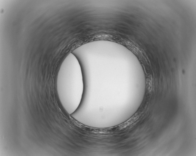 X0000087520561200705041215