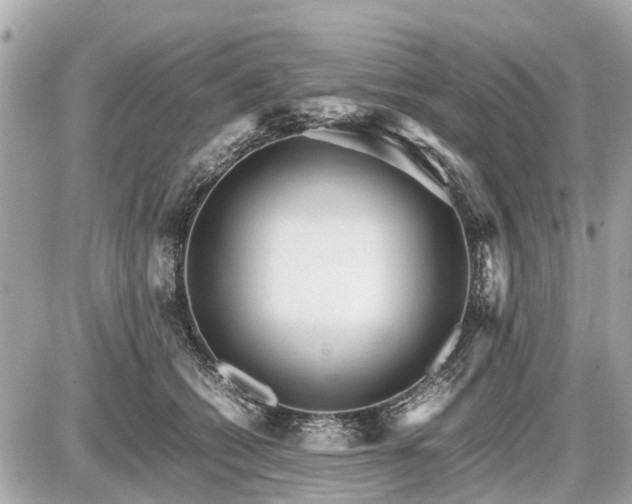 X0000087520562200705041215