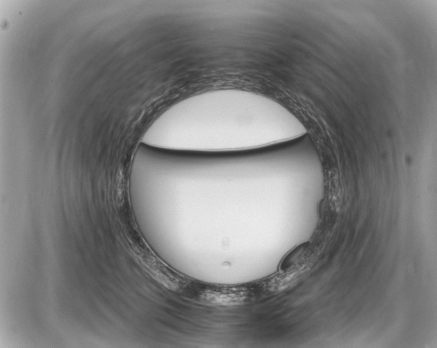 X0000087520563200705041215