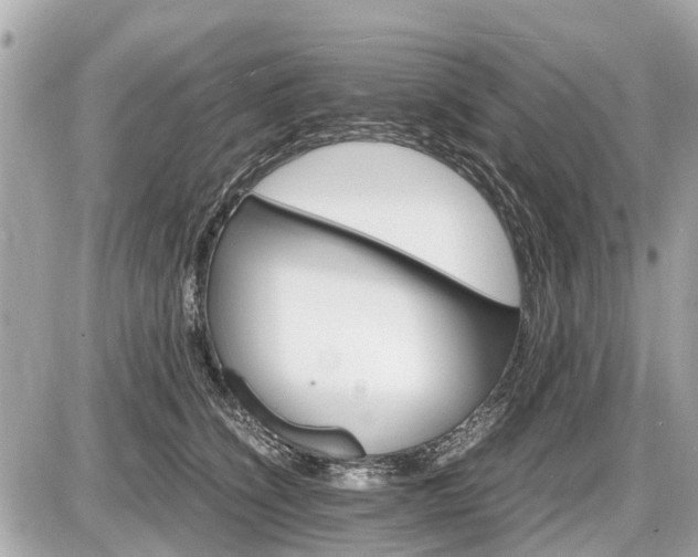 X0000087520564200705041215