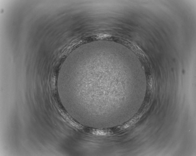 X0000087520565200705041215