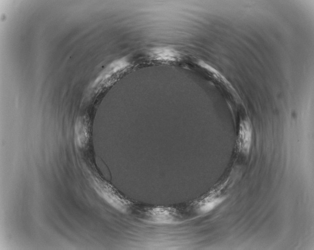 X0000087520566200705041215