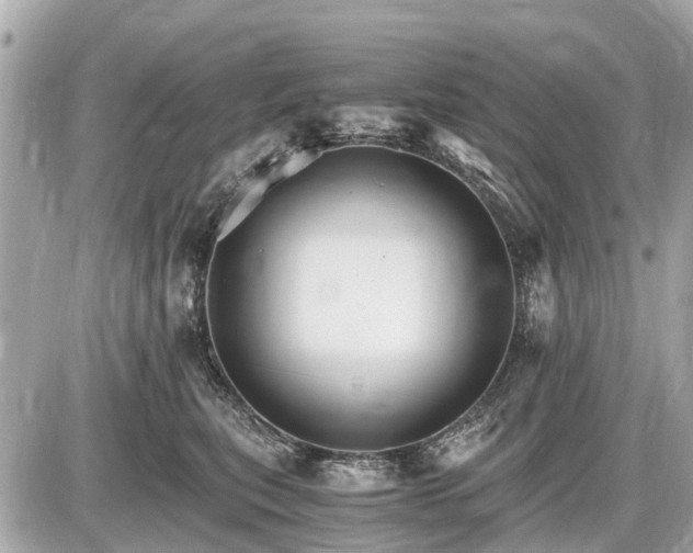 X0000087520567200705041215