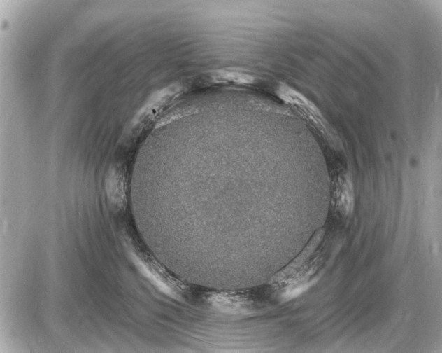 X0000087520568200705041215