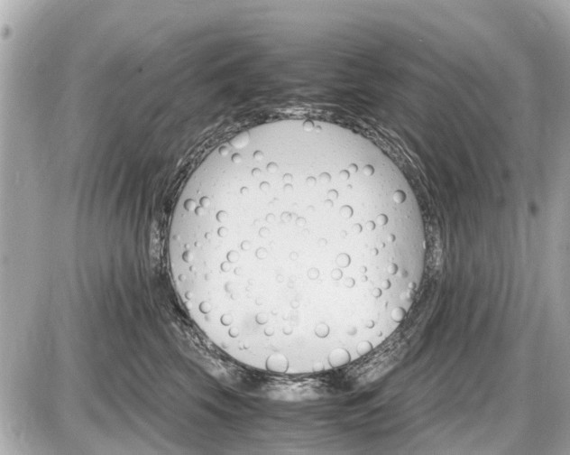 X0000087520569200705041215