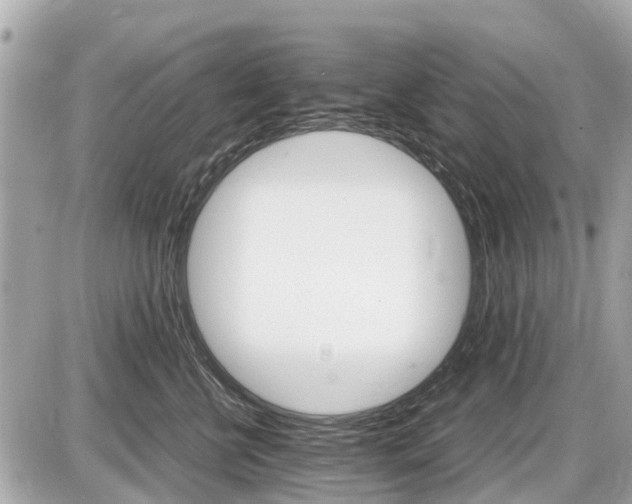 X0000087520570200705041215