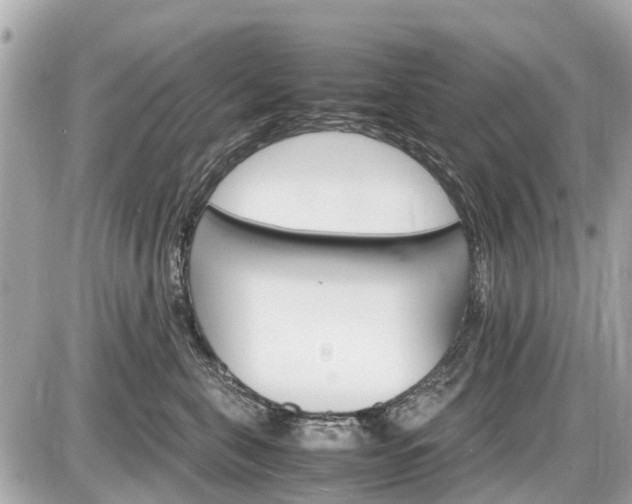 X0000087520571200705041215