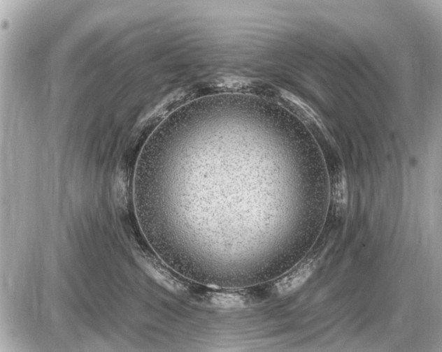 X0000087520572200705041215