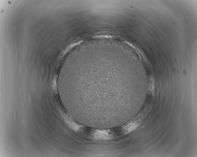 X0000087520573200705041215