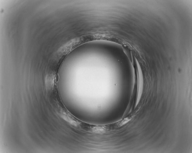 X0000087520574200705041215