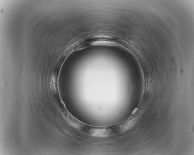 X0000087520575200705041215