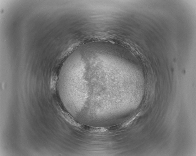 X0000087520576200705041215