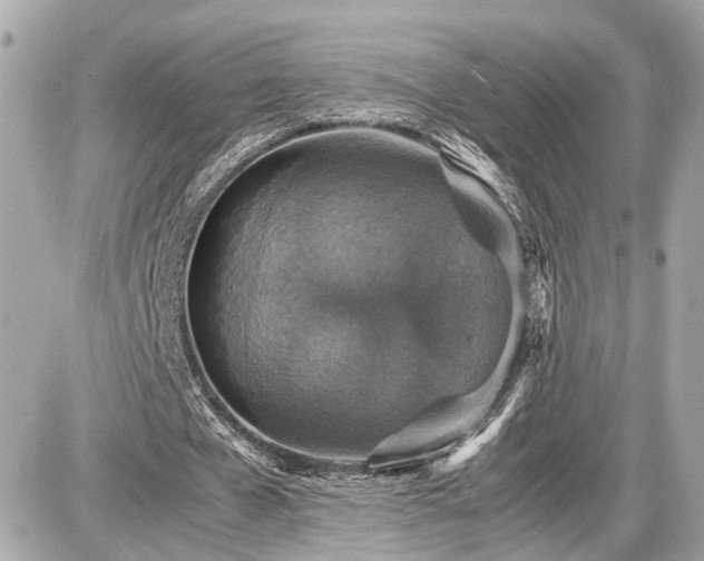 X0000087520577200705041215