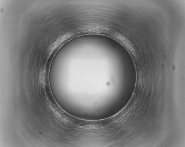 X0000087520578200705041215