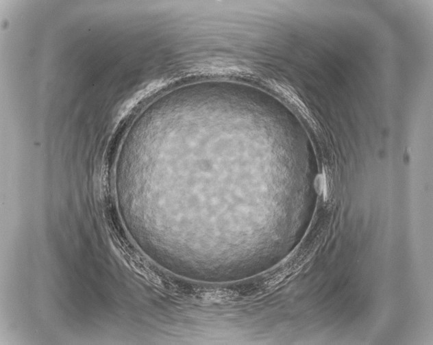 X0000087520579200705041215