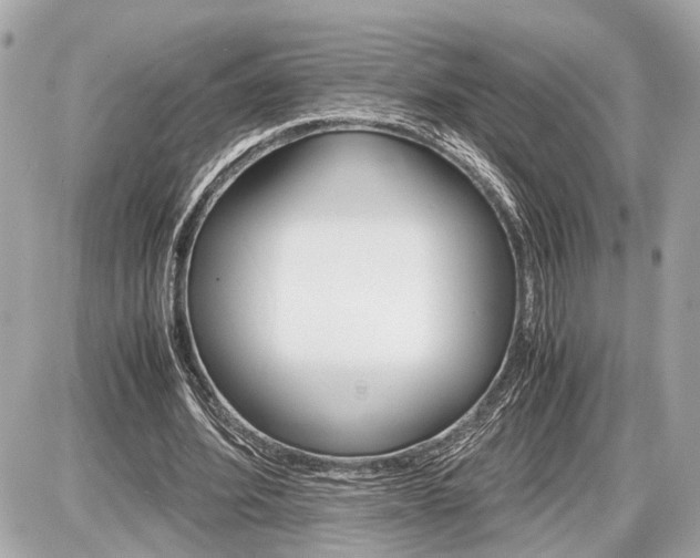 X0000087520580200705041215