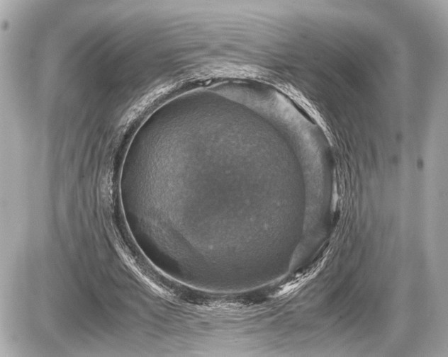 X0000087520581200705041215