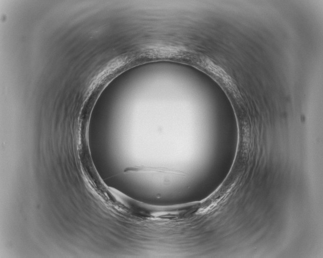 X0000087520582200705041215