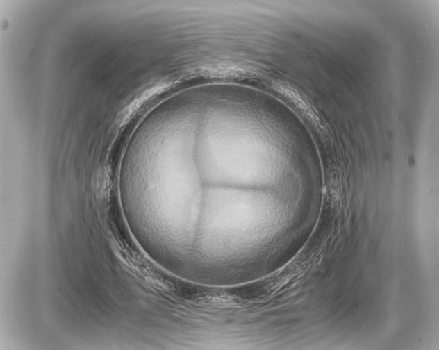 X0000087520583200705041215