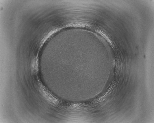 X0000087520584200705041215