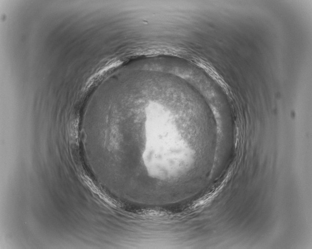 X0000087520585200705041215