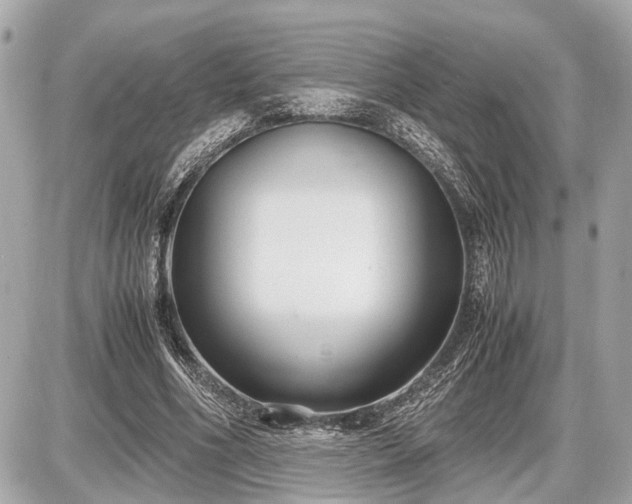 X0000087520586200705041215